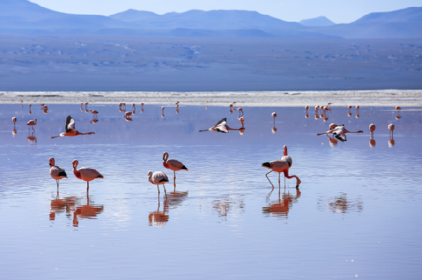 【墨西哥中文小团】墨西哥城+瓜纳华托+圣米格尔+坎昆|天坑&粉红湖：10天9晚殖民小镇环线（墨西哥城进 坎昆出）