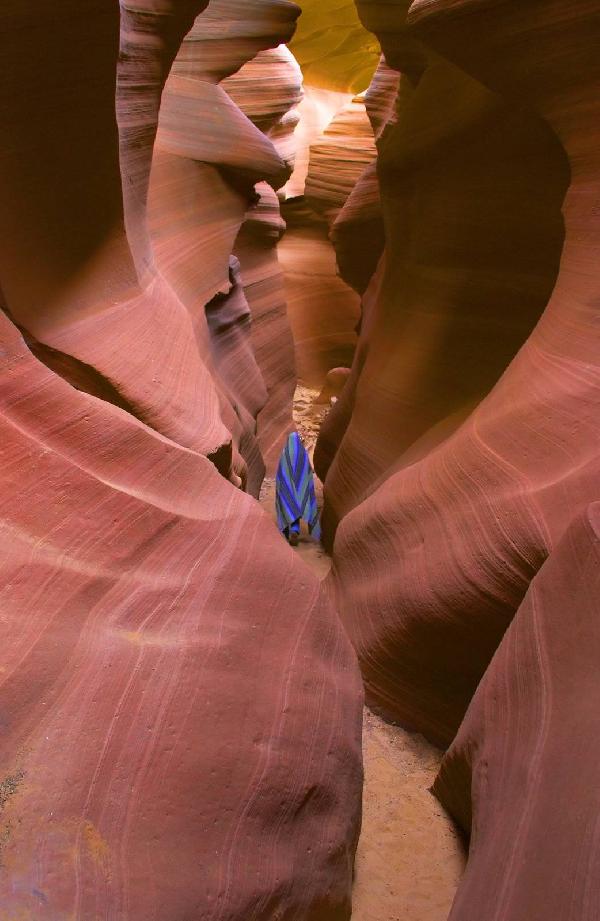 美国西部9日游：太浩湖+蛇河峡谷+黄石国家公园+大提顿国家公园+下羚羊彩穴+大峡谷国家公园+拉斯维加斯（洛杉矶往返 可选旧金山上团）